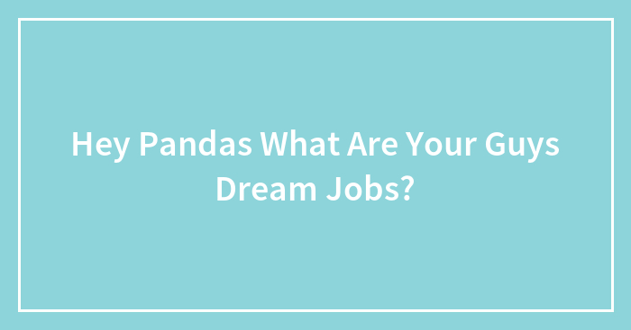 Hey Pandas What Are Your Guys Dream Jobs?