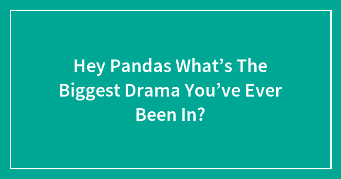 Hey Pandas What’s The Biggest Drama You’ve Ever Been In?