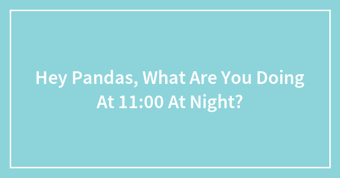 Hey Pandas, What Are You Doing At 11:00 At Night?