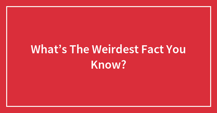 What’s The Weirdest Fact You Know?