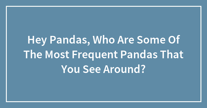 Hey Pandas, Who Are Some Of The Most Frequent Pandas That You See Around?