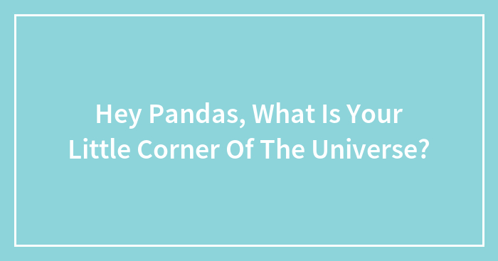 Hey Pandas, What Is Your Little Corner Of The Universe?
