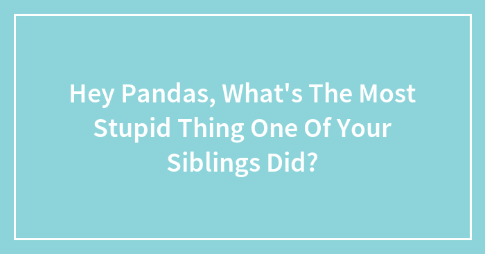 Hey Pandas, What’s The Most Stupid Thing One Of Your Siblings Did? (Closed)