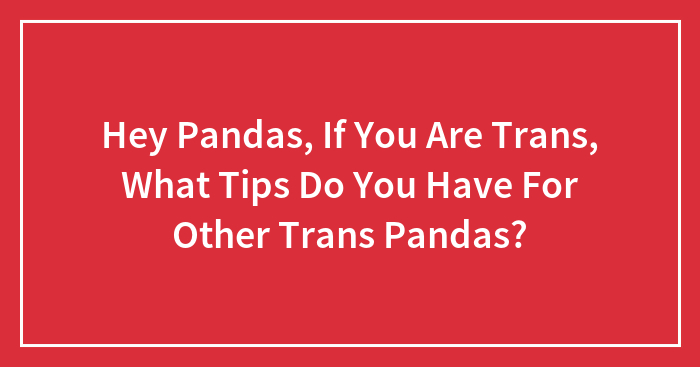 Hey Pandas, If You Are Trans, What Tips Do You Have For Other Trans Pandas? (Closed)