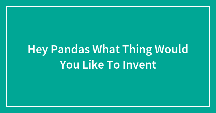 Hey Pandas What Thing Would You Like To Invent