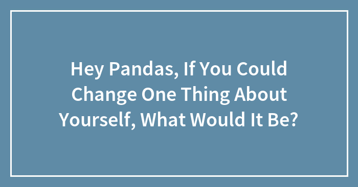 Hey Pandas, If You Could Change One Thing About Yourself, What Would It Be?