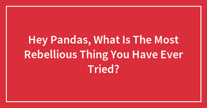 Hey Pandas, What Is The Most Rebellious Thing You Have Ever Tried?