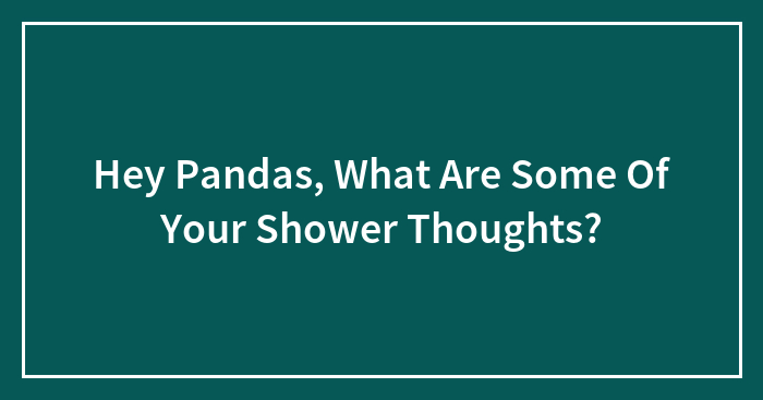 Hey Pandas, What Are Some Of Your Shower Thoughts?