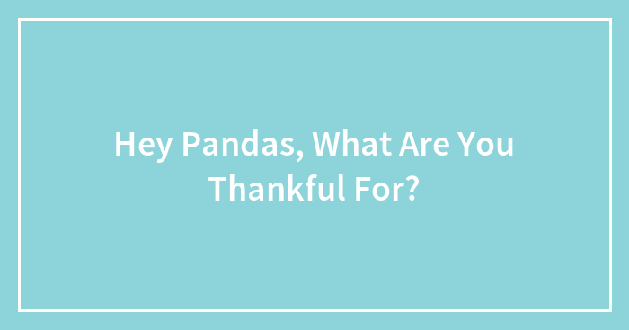 Hey Pandas, What Are You Thankful For?