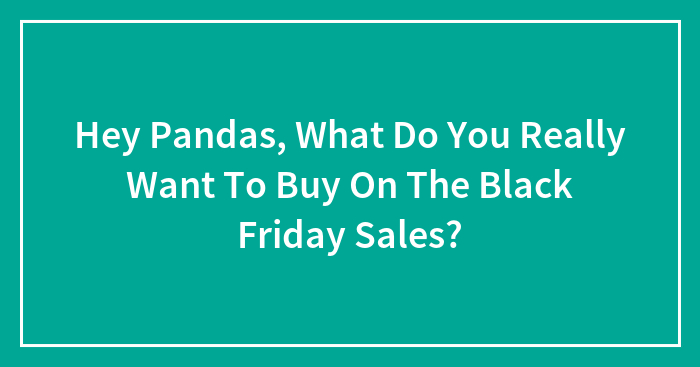 Hey Pandas, What Do You Really Want To Buy On The Black Friday Sales? (Closed)