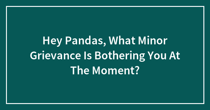 Hey Pandas, What Minor Grievance Is Bothering You At The Moment? (Closed)