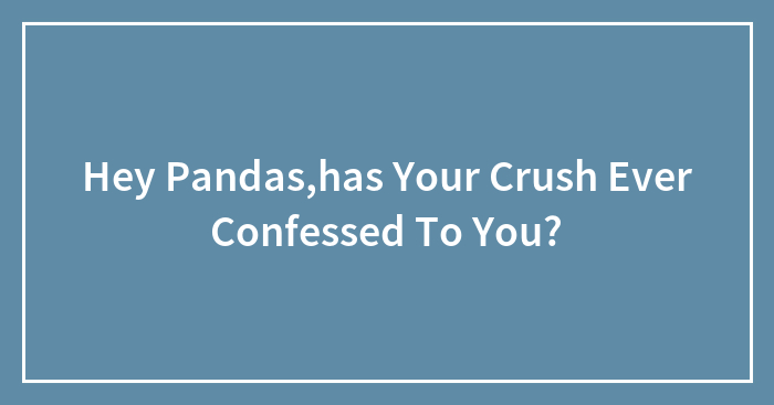 Hey Pandas,has Your Crush Ever Confessed To You?