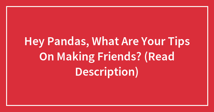 Hey Pandas, What Are Your Tips On Making Friends? (Read Description)