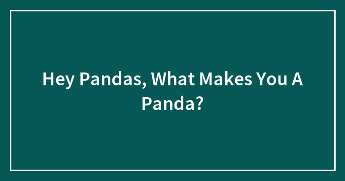 Hey Pandas, What Makes You A Panda? (Closed)