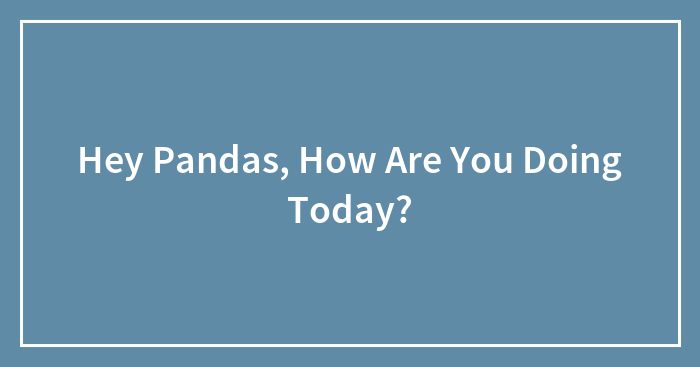 Hey Pandas, How Are You Doing Today?