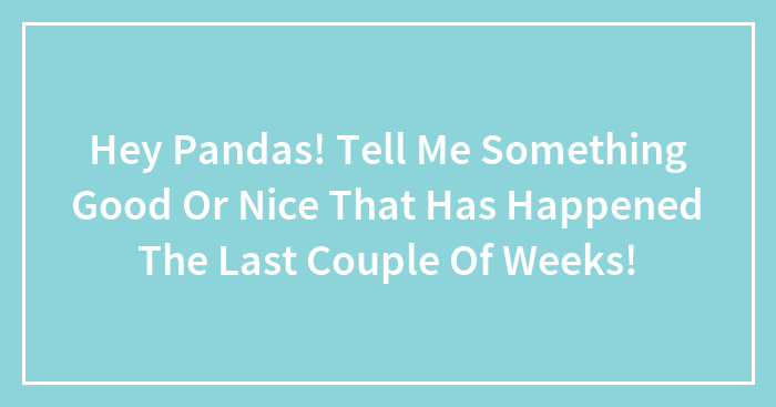 Hey Pandas! Tell Me Something Good Or Nice That Has Happened The Last Couple Of Weeks!