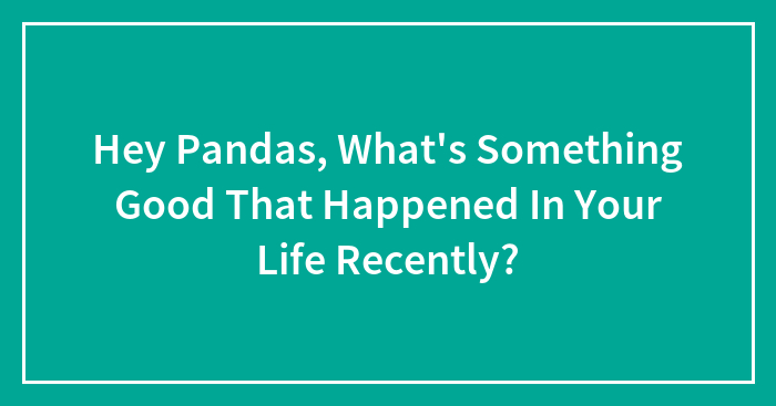 Hey Pandas, What’s Something Good That Happened In Your Life Recently? (Closed)