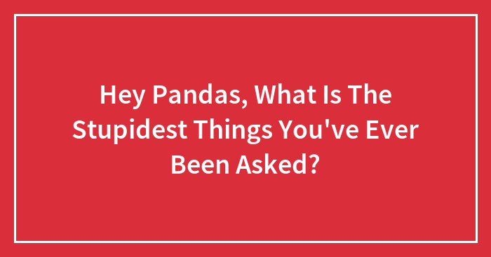 Hey Pandas, What Is The Stupidest Things You’ve Ever Been Asked?