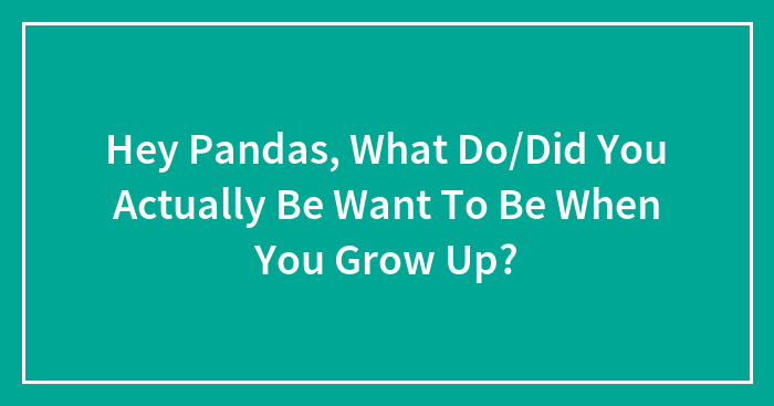 Hey Pandas, What Do/Did You Actually Be Want To Be When You Grow Up?