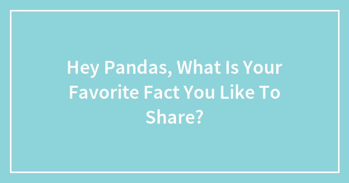 Hey Pandas, What Is Your Favorite Fact You Like To Share?