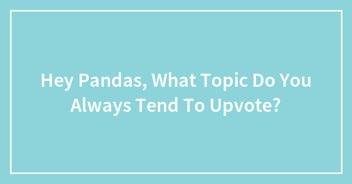 Hey Pandas, What Topic Do You Always Tend To Upvote? (Closed)