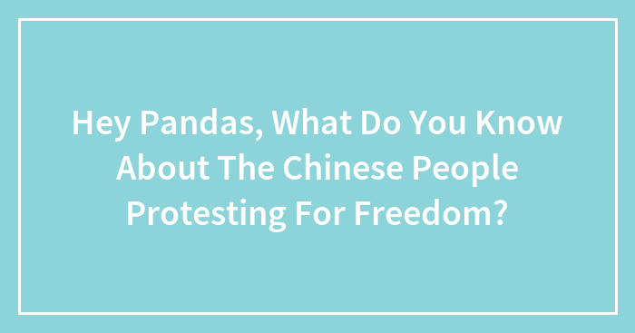 Hey Pandas, What Do You Know About The Chinese People Protesting For Freedom? (Closed)