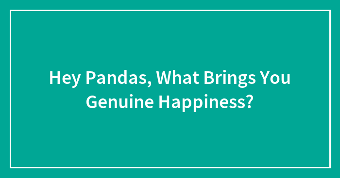 Hey Pandas, What Brings You Genuine Happiness? (Closed)