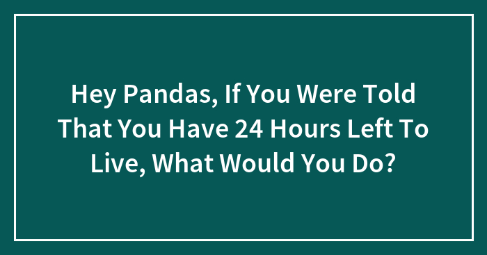 Hey Pandas, If You Were Told That You Have 24 Hours Left To Live, What Would You Do? (Closed)