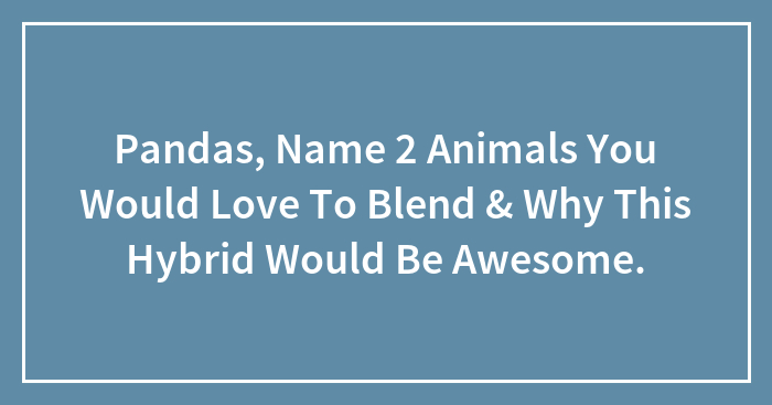 Pandas, Name 2 Animals You Would Love To Blend & Why This Hybrid Would Be Awesome.