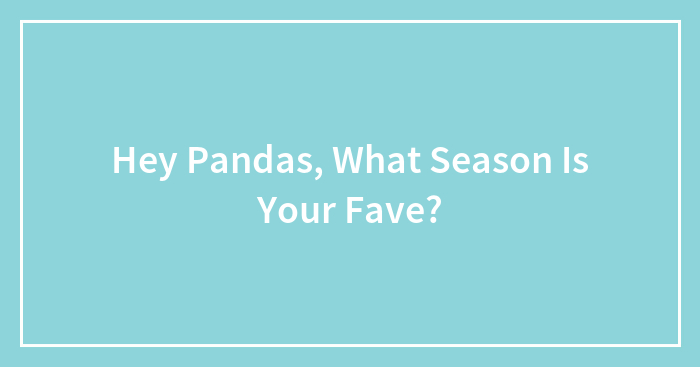 Hey Pandas, What Season Is Your Fave?