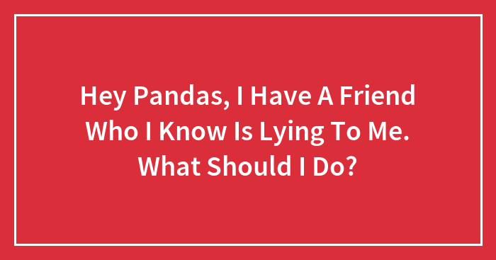 Hey Pandas, I Have A Friend Who I Know Is Lying To Me. What Should I Do?