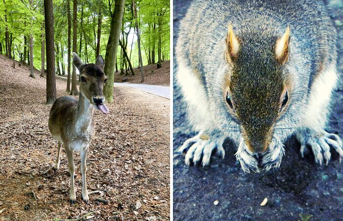 Hey Pandas, Post A Wildlife Photo You’ve Taken (Closed)