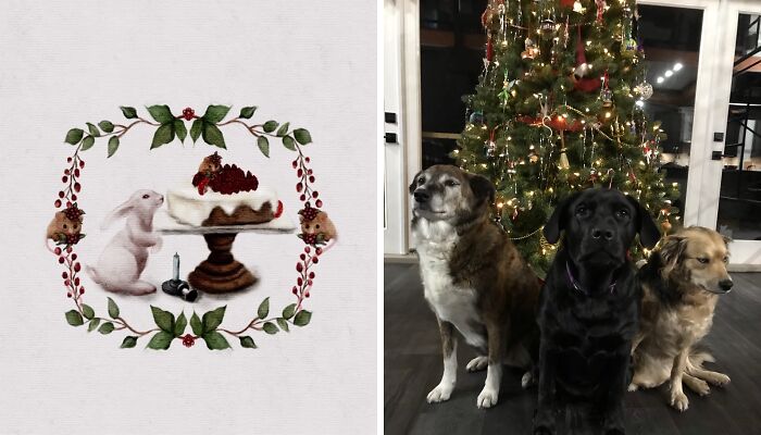 Hey Pandas, Share Your Christmas Decorations (Closed)