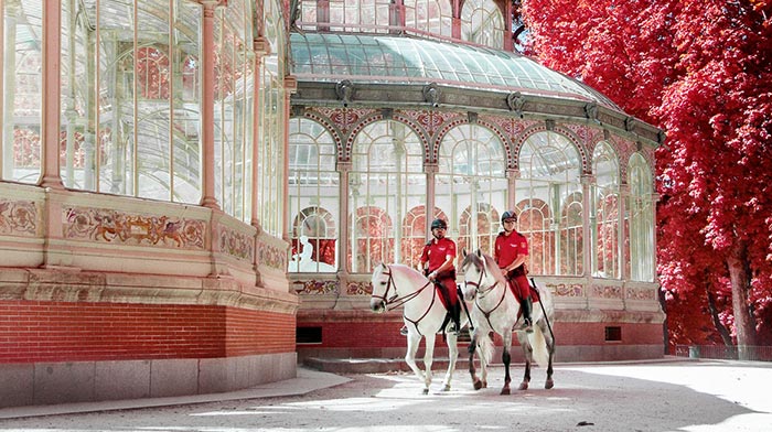My 22 Pics Of Madrid That I Captured Using Infrared Photography