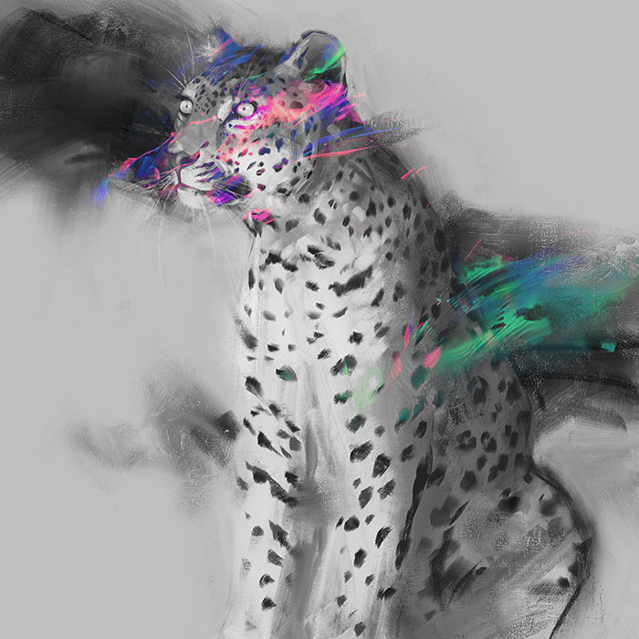 In 2019 I Dedicated Each Day To Drawing Endangered Animals, And Here Are 25 Of My Best Ones