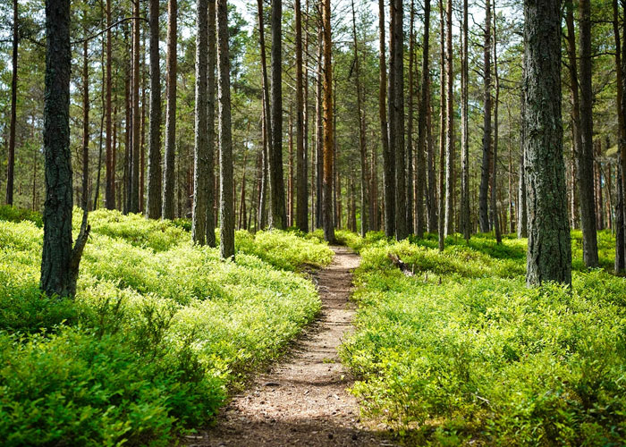 30 Of The Creepiest Things People Have Ever Witnessed, As Shared On This Online Thread