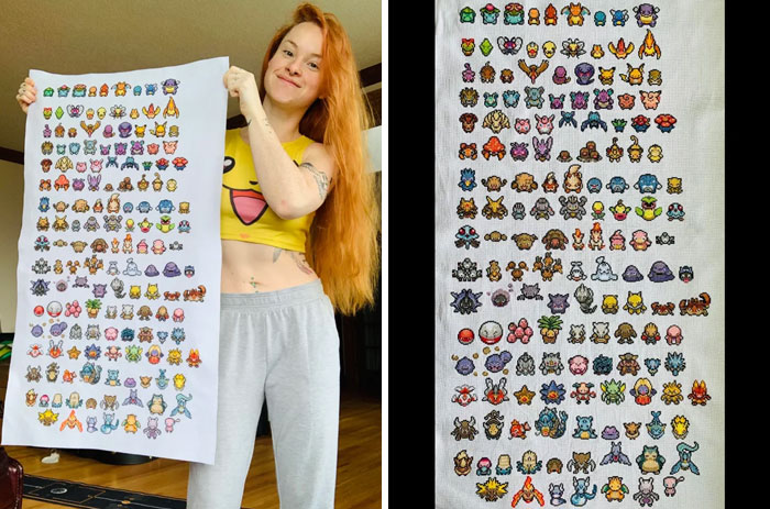 370 Days Later I’m Finally Finished Catching Them All