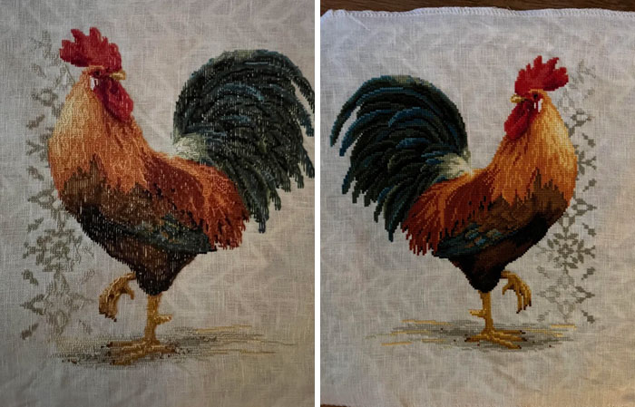 I’m Not At All The Type To Brag, But It Has To Mean Something That I Keep Confusing The Back For The Front