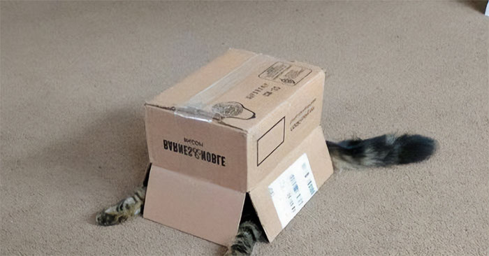 Mеtаl Geаr Sоlid Trар