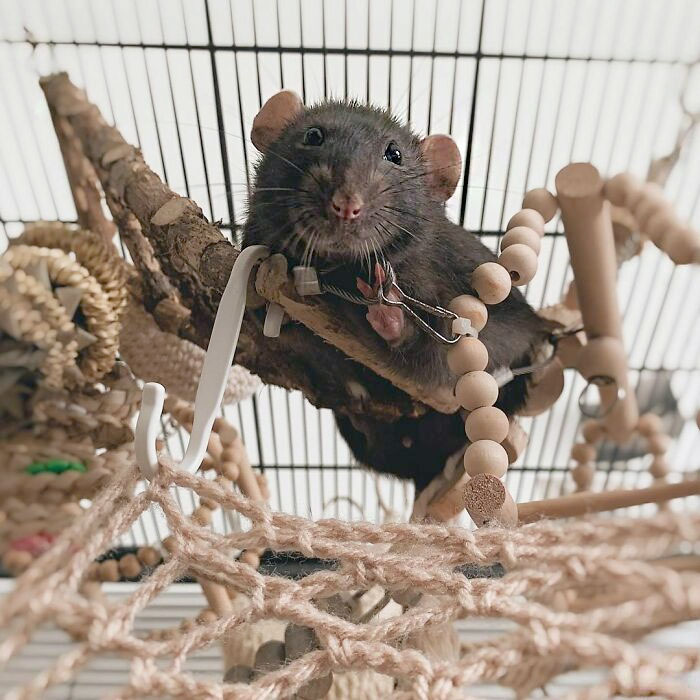 You've Just Opened The Treat Box