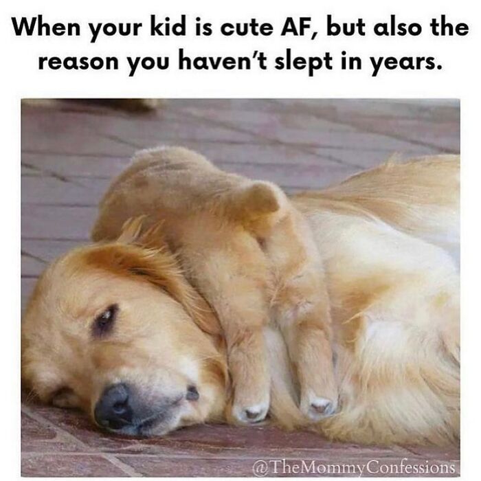 Dad-Jokes-Memes-Viraldads