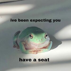 gavinmichaelcford avatar