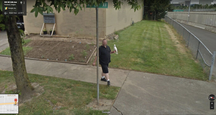 This Cockatoo And Its Human