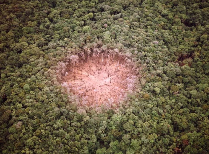 The Effects Of A Daisy Cutter Bomb, The Bomb Was Designed To Clear An Area For The Helicopter To Land