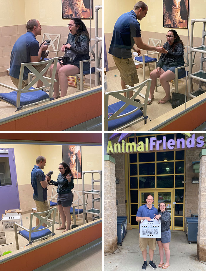 The Only Correct Way To Propose