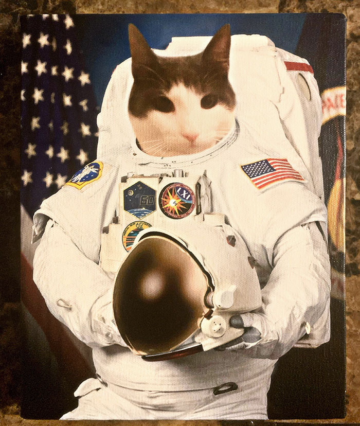 My Boyfriend’s Christmas Gift To Me Was Our Cat Wasabi As An Astronaut. I Thought You Guys Might Appreciate This As Much As I Do