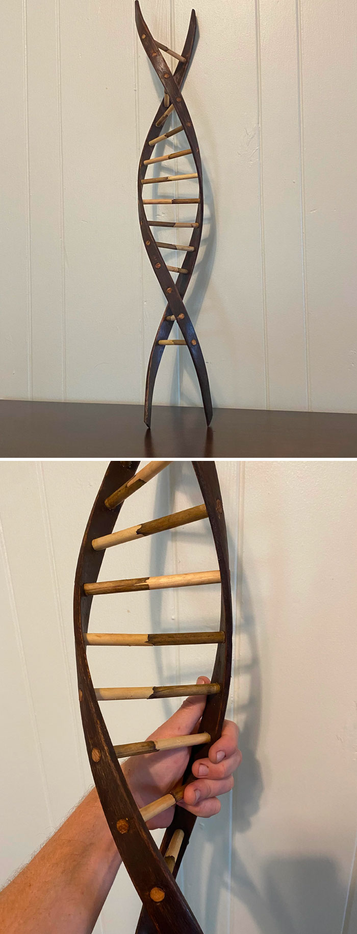 My First Real Woodworking Project. It’s A DNA Trellis For My Girlfriend Who Is Working On A PhD In Genetics And Loves Plants. What Do You All Think?