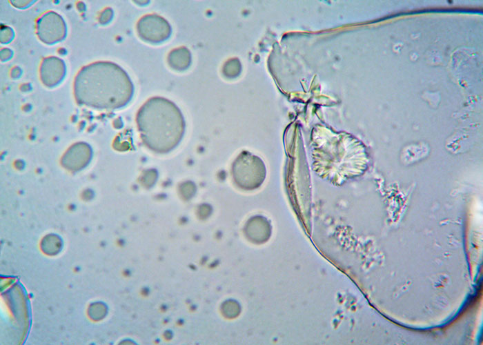 30 Mundane Yet Very Sinister Things In Disguise That Harm Us All