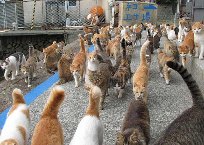 30 Mundane Yet Very Sinister Things In Disguise That Harm Us All