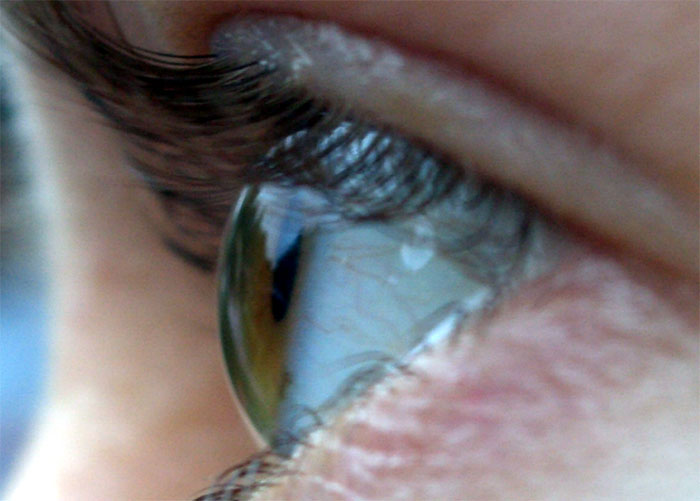 25 curiosidades que te costará creer que son reales